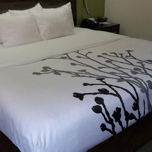King Room Disability Access